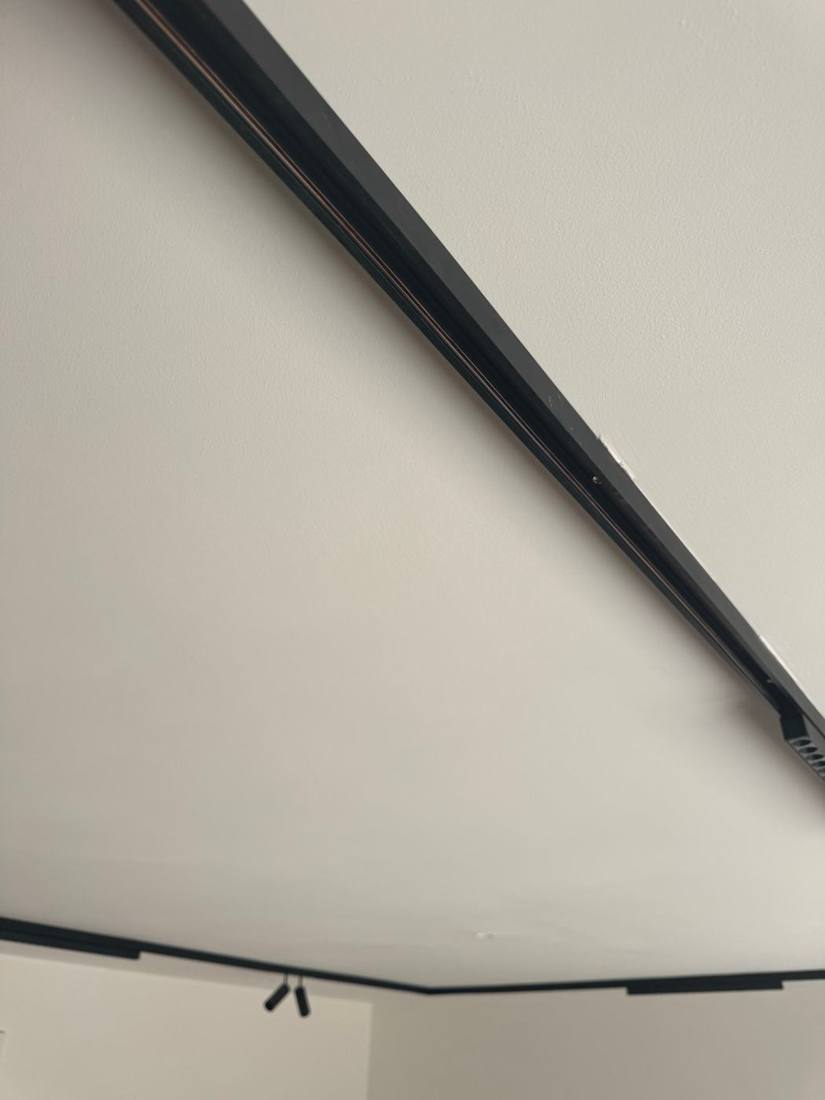 Black track lighting system